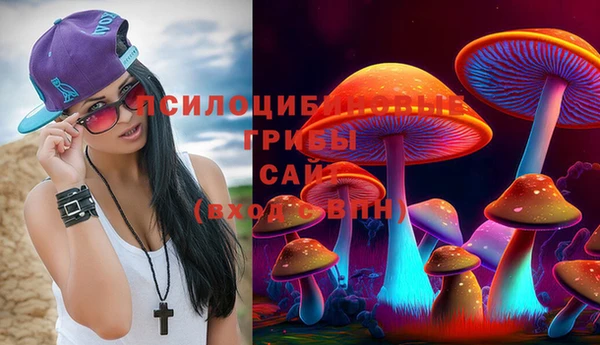 PSILOCYBIN Алзамай