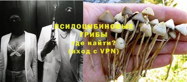 PSILOCYBIN Алзамай