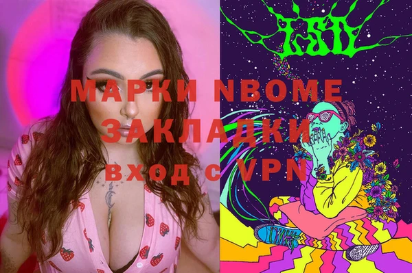 PSILOCYBIN Алзамай