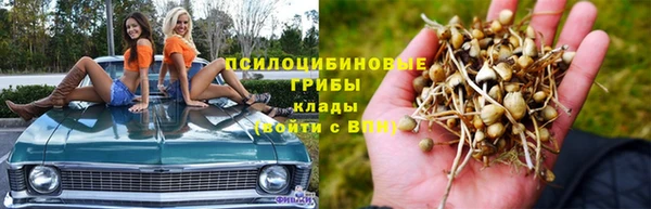 PSILOCYBIN Алзамай