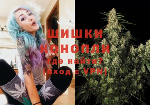 PSILOCYBIN Алзамай